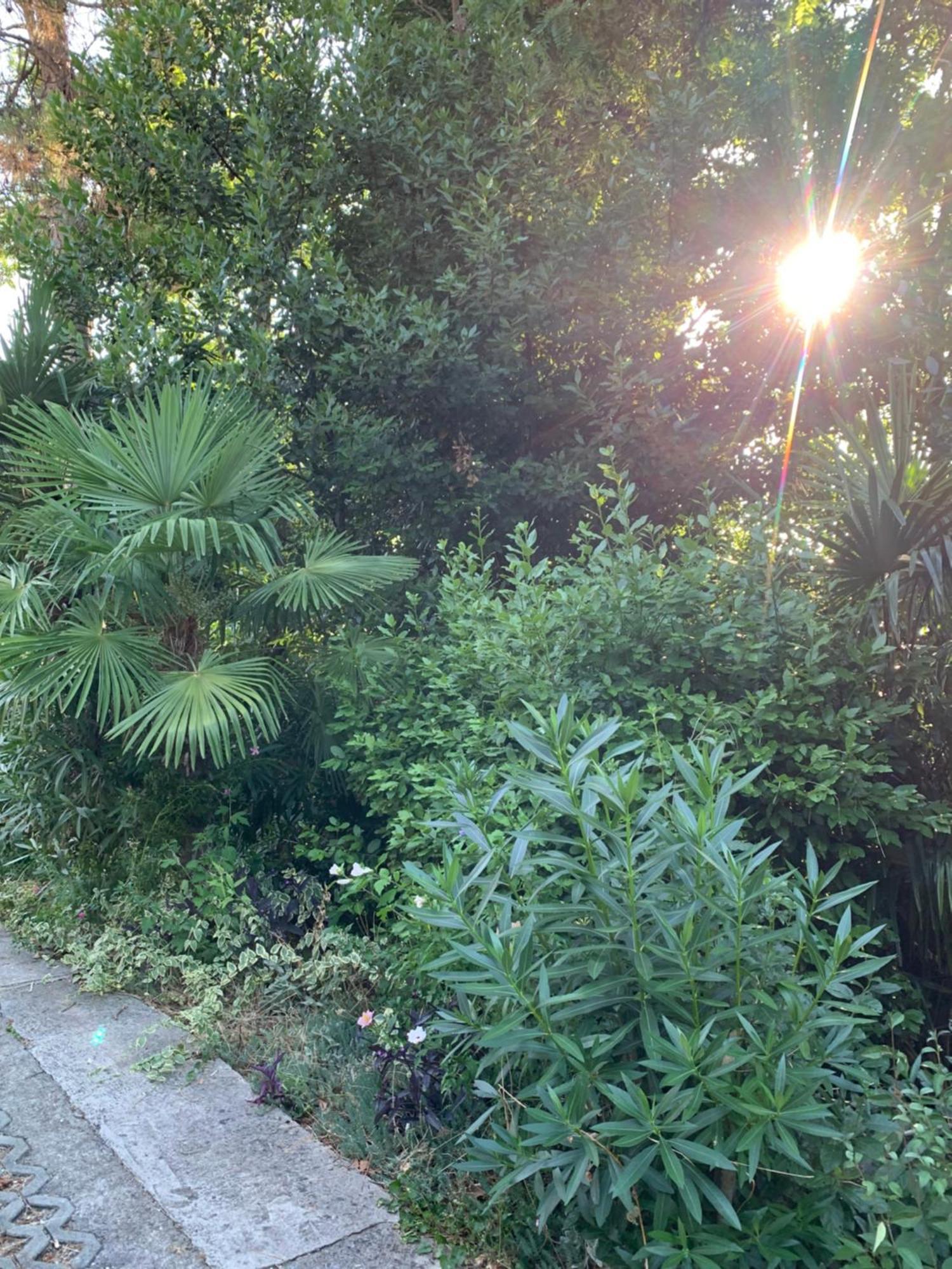 Sheltered Green Oasis In Opatija Extérieur photo